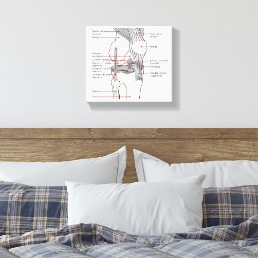 Leinwand Anatomisches Diagramm (Insitu (Schlafzimmer))