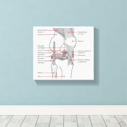 Leinwand Anatomisches Diagramm (Insitu (Holzboden))