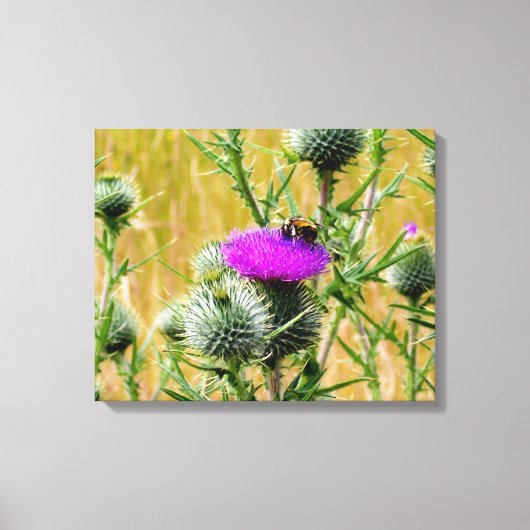 Leinwand Art Bee on Thistle (Vorderseite)