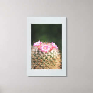 Leinwand Art-Cactus