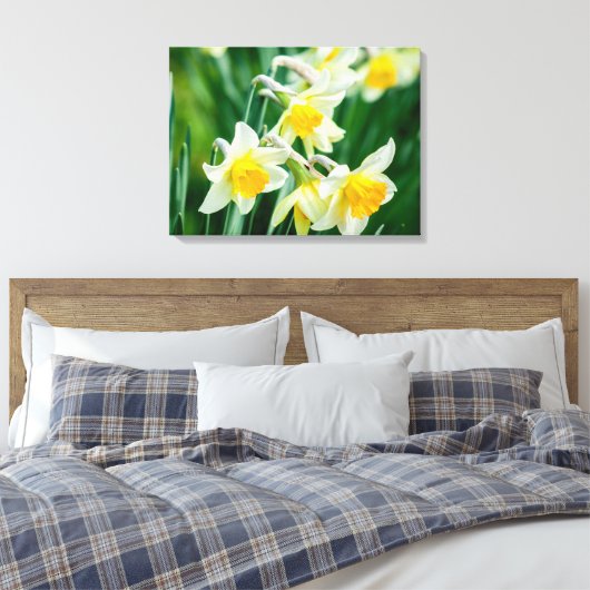 Leinwand Art-Daffodils (Insitu (Schlafzimmer))