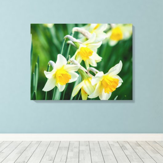 Leinwand Art-Daffodils (Insitu (Holzboden))
