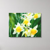 Leinwand Art-Daffodils (Vorderseite)