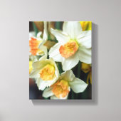 Leinwand Art-Daffodils (Vorderseite)
