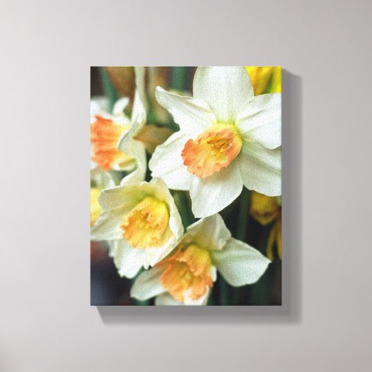 Leinwand Art-Daffodils (Vorderseite)
