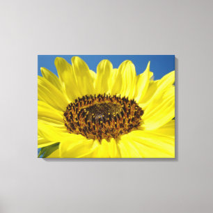 Leinwand Art druckt Gelbe Sonnenblume Blauer Himme