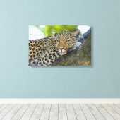 Leinwand Art-Leopard (Insitu (Holzboden))