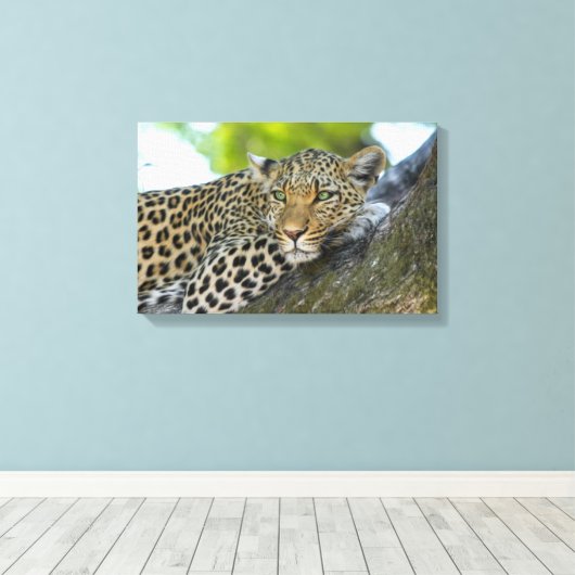 Leinwand Art-Leopard (Insitu (Holzboden))