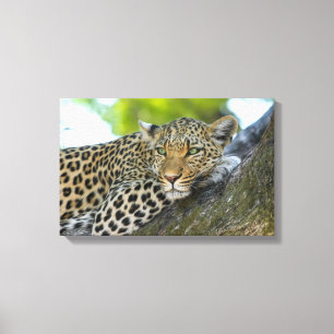 Leinwand Art-Leopard