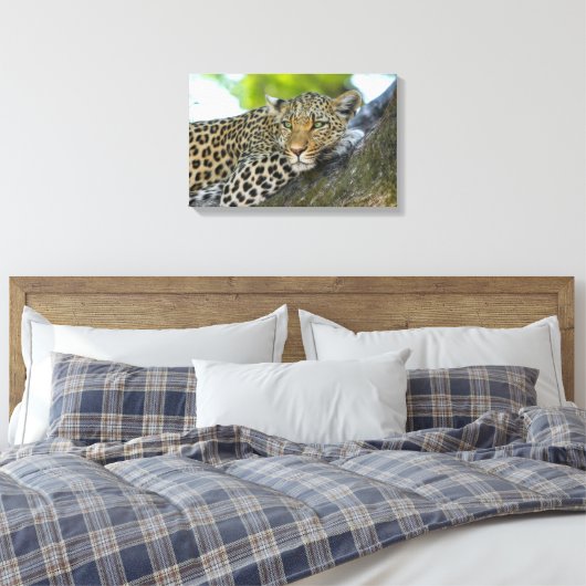 Leinwand Art-Leopard (Insitu (Schlafzimmer))