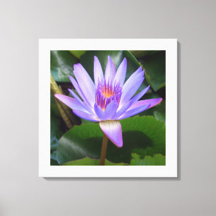 Leinwand Art-Lotus Blume