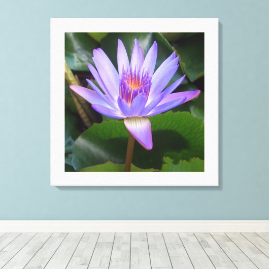 Leinwand Art-Lotus Blume (Insitu (Holzboden))