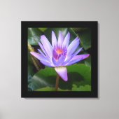 Leinwand Art-Lotus Blume (Vorderseite)