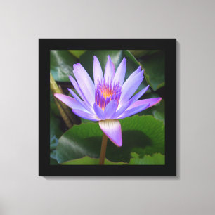 Leinwand Art-Lotus Blume