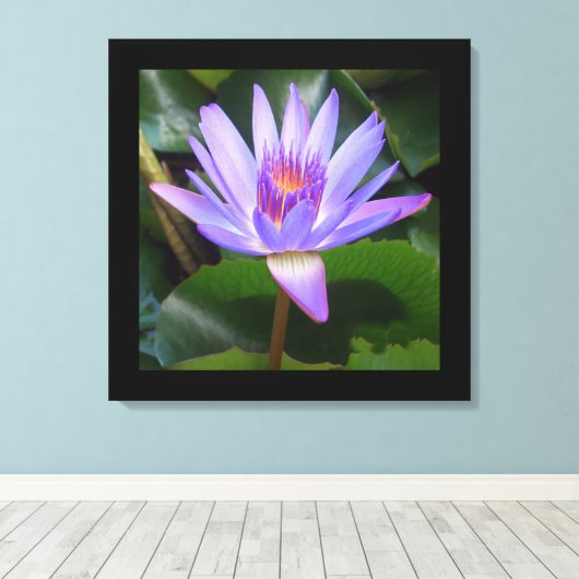 Leinwand Art-Lotus Blume (Insitu (Holzboden))