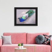 Leinwand Art Peacock (Insitu (Wohnzimmer))