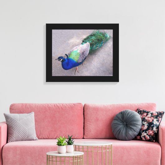 Leinwand Art Peacock (Insitu (Wohnzimmer))