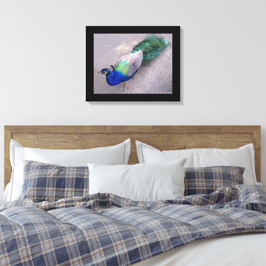 Leinwand Art Peacock (Insitu (Schlafzimmer))