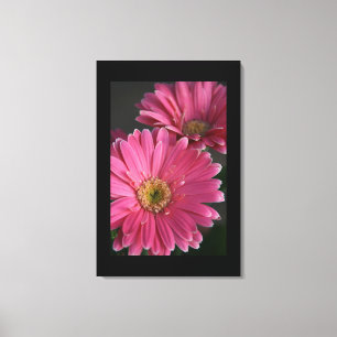 Leinwand Art-Pink Daisies