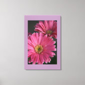 Leinwand Art-Pink Daisies (Vorderseite)