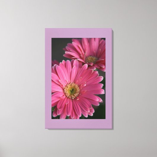 Leinwand Art-Pink Daisies (Vorderseite)