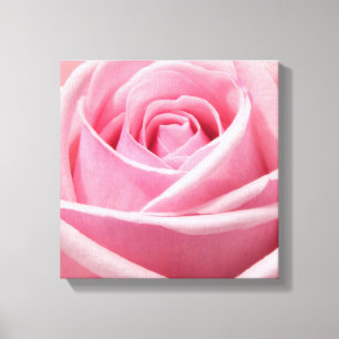 Leinwand Art-Pink Rose