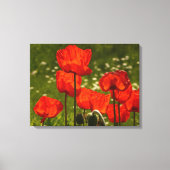 Leinwand Art-Poppies (Vorderseite)