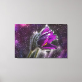 Leinwand Art Print - Frühlingsduschen