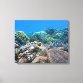 Leinwand Art-Sea-Schildkröte (Vorderseite)
