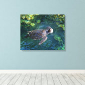 Leinwand Art-Sea-Schildkröte (Insitu (Holzboden))