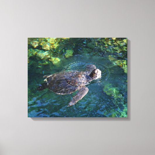 Leinwand Art-Sea-Schildkröte (Vorderseite)