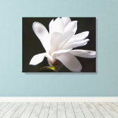Leinwand Art-Star Magnolia Blume (Insitu (Holzboden))
