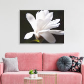 Leinwand Art-Star Magnolia Blume (Insitu (Wohnzimmer))