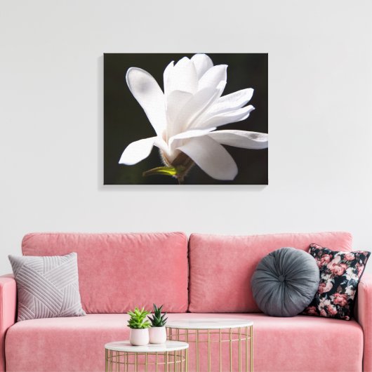 Leinwand Art-Star Magnolia Blume (Insitu (Wohnzimmer))