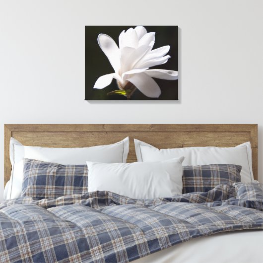 Leinwand Art-Star Magnolia Blume (Insitu (Schlafzimmer))