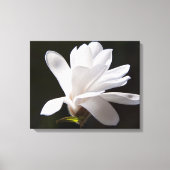 Leinwand Art-Star Magnolia Blume (Vorderseite)