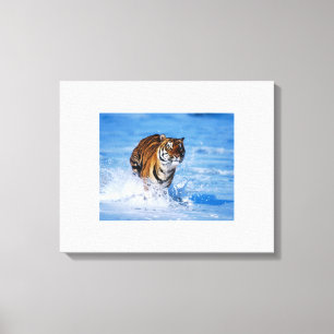 Leinwand Art-Tiger