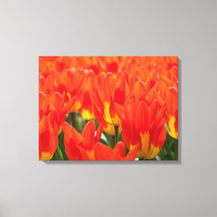 Leinwand Art-Tulips