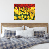 Leinwand Art-Tulips (Insitu (Schlafzimmer))