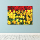 Leinwand Art-Tulips (Insitu (Holzboden))