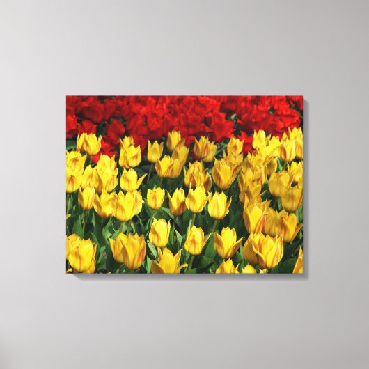 Leinwand Art-Tulips (Vorderseite)