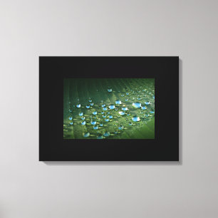 Leinwand Art-Water-Droplets
