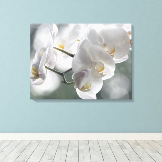 Leinwand Art-White Orchids (Insitu (Holzboden))