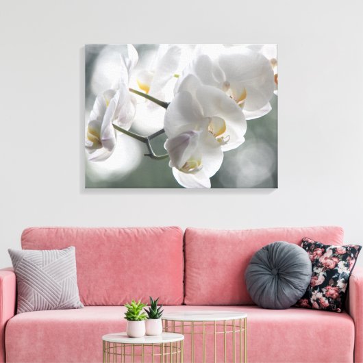 Leinwand Art-White Orchids (Insitu (Wohnzimmer))