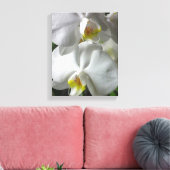 Leinwand Art-White Orchids (Insitu (Wohnzimmer))