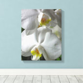 Leinwand Art-White Orchids (Insitu (Holzboden))