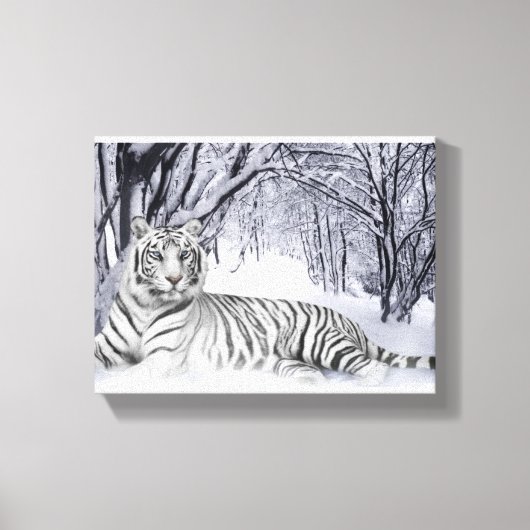 Leinwand Art White Tiger (Vorderseite)