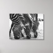 Leinwand Art-Zebras (Vorderseite)