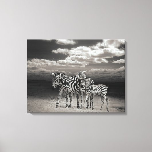 Leinwand Art-Zebras (Vorderseite)