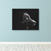 Leinwand aus schwarzem Labrador (Insitu (Holzboden))